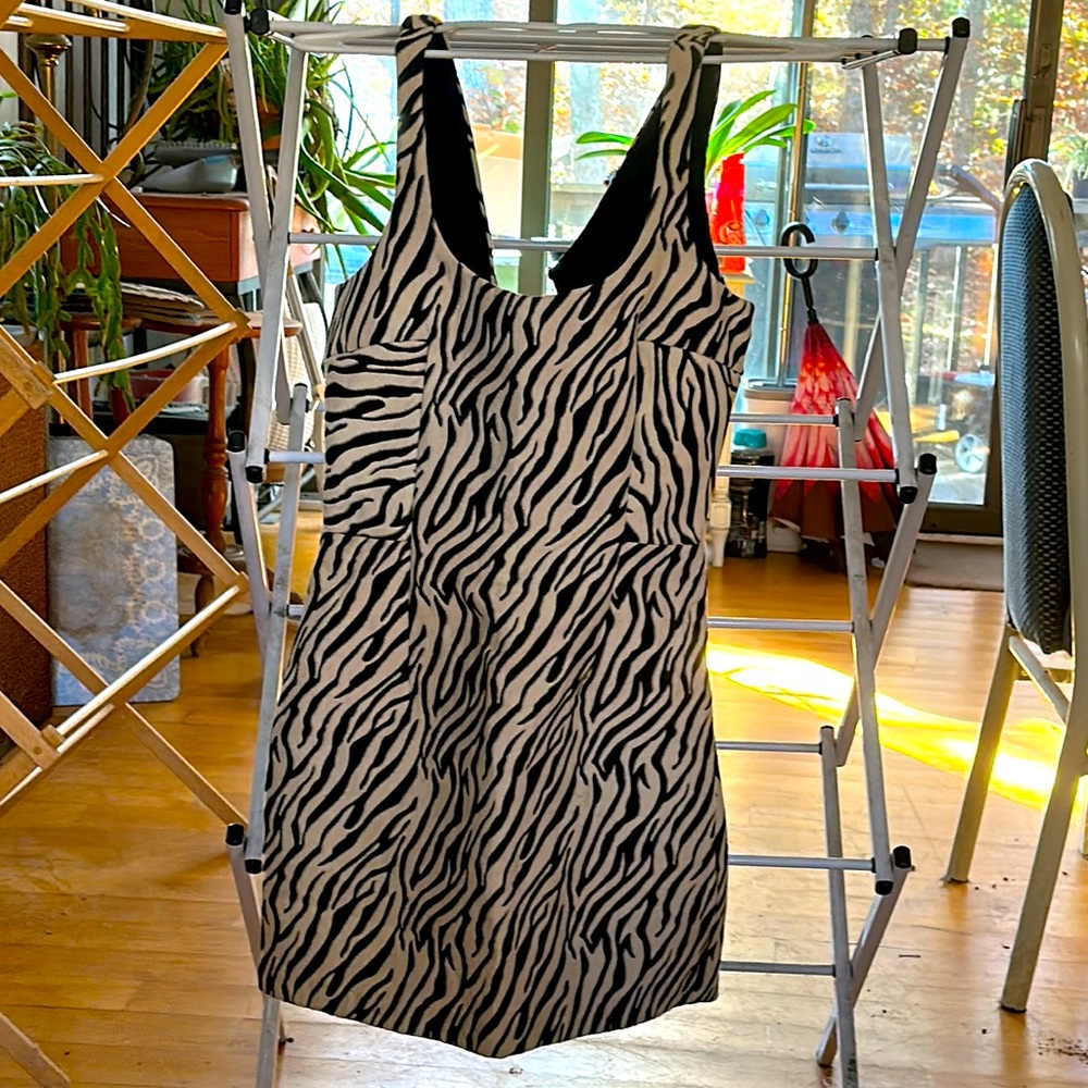 Zebra Print mini Dress